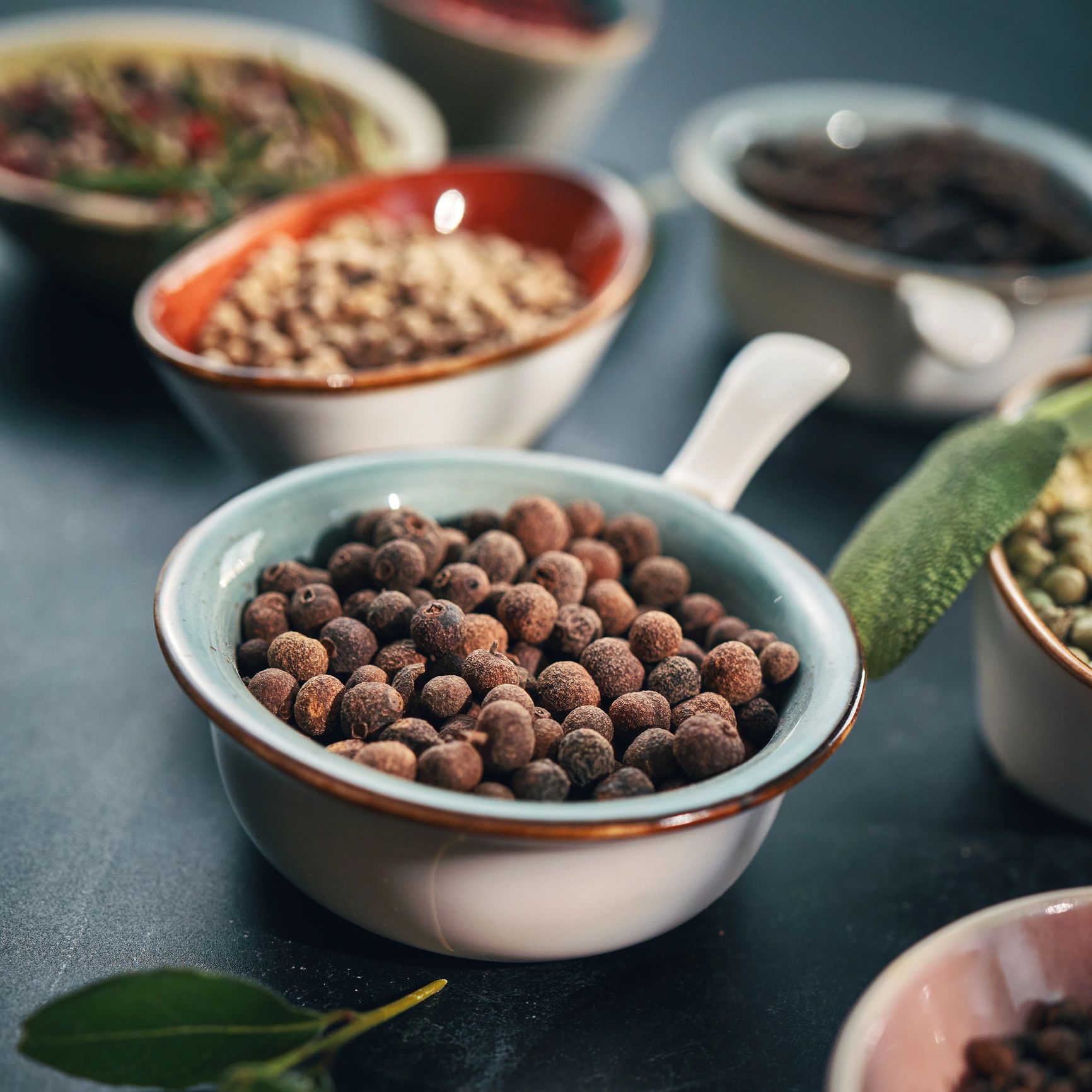 Close-up of botanical ingredients representing ingredient identity and quality