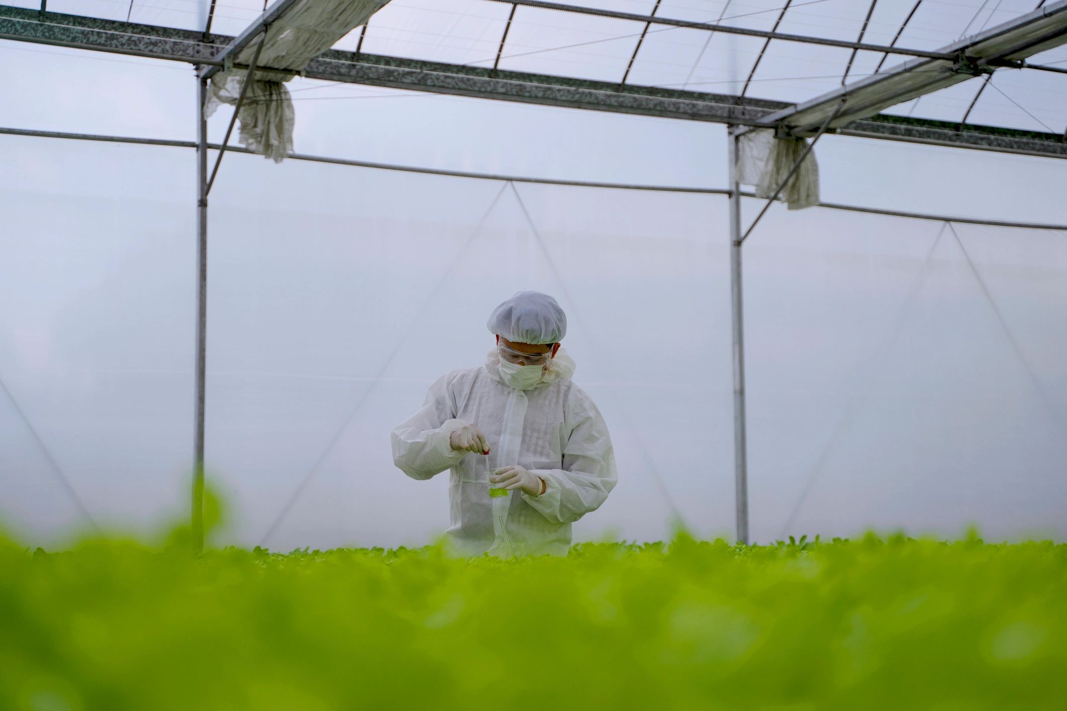 Quality professional reviewing plants in a controlled growing environment