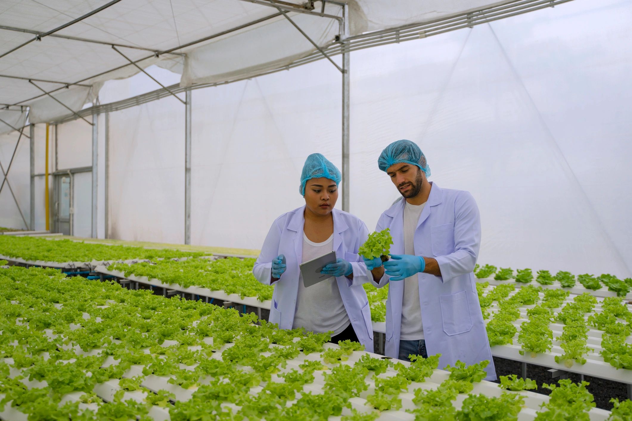 Greenhouse cultivation supporting botanical ingredient traceability