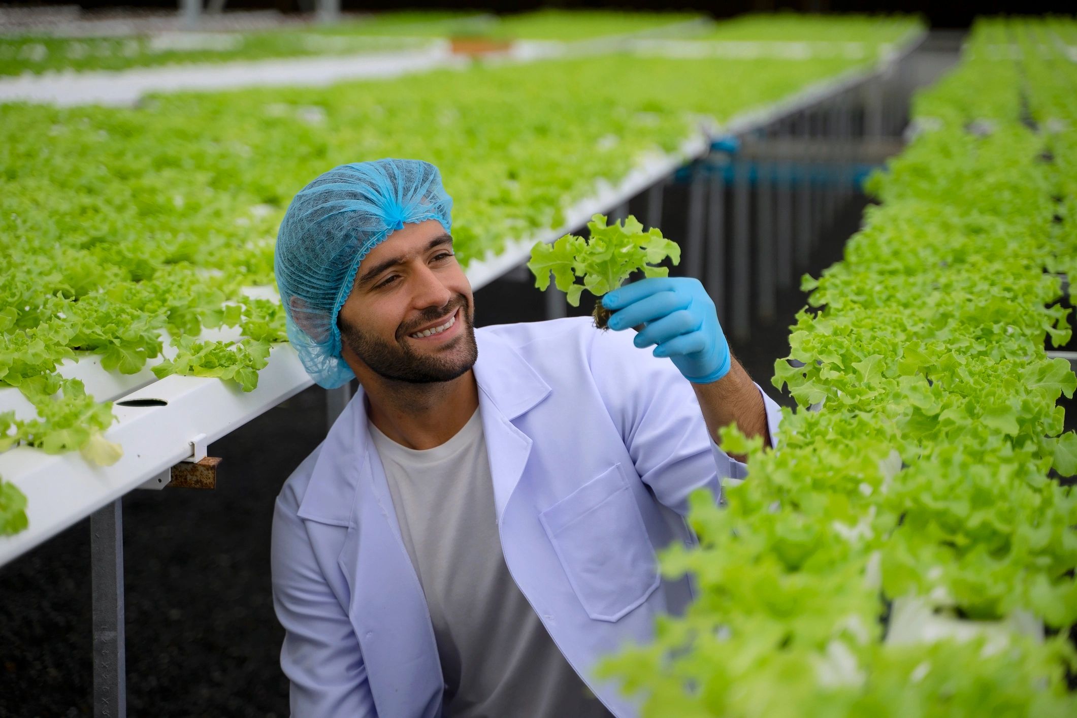 Scientist working with plants in a modern growing environment