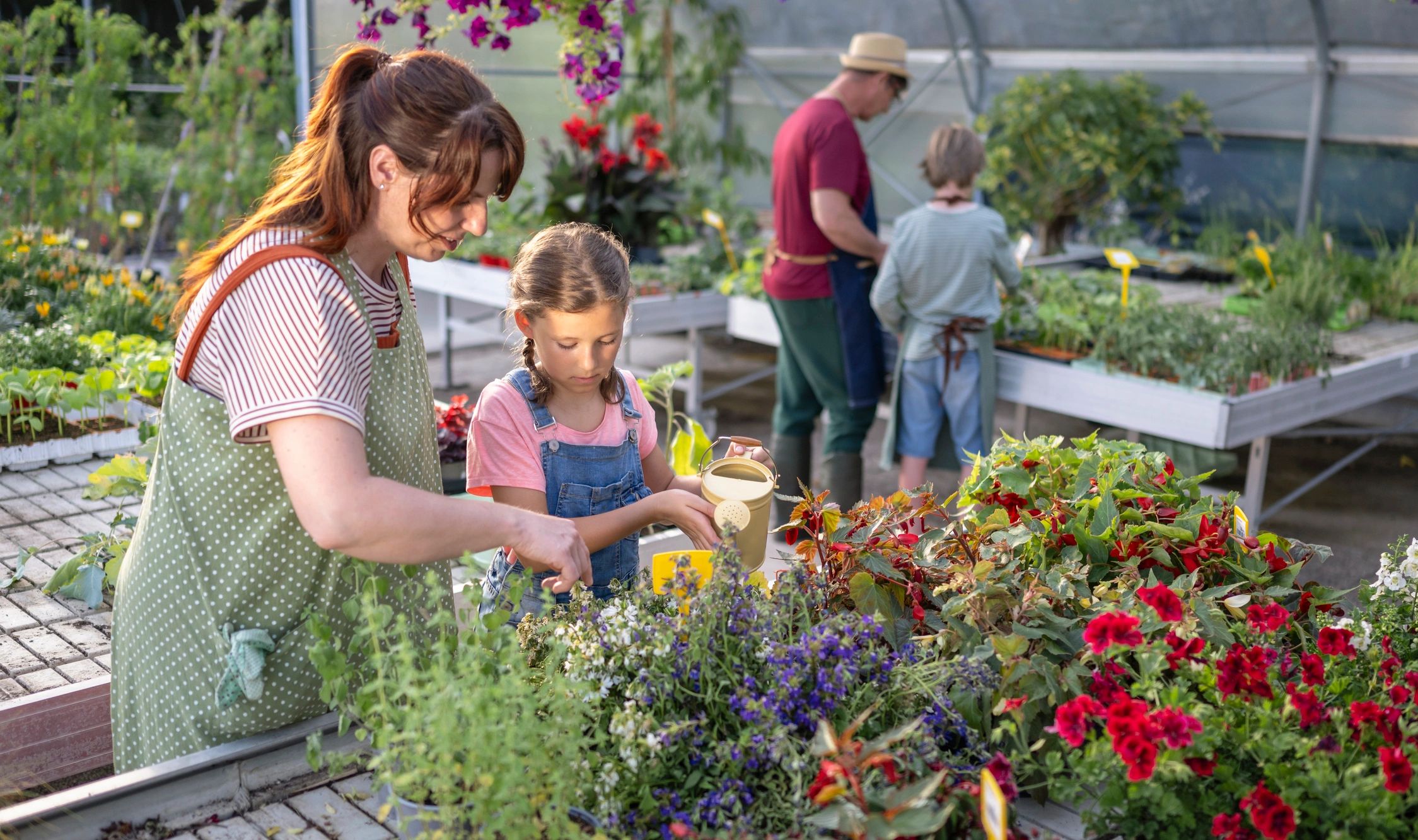 People collaborating in a greenhouse setting